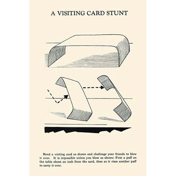 A Visiting Card Stunt-Fine Art Canvas Print (20" x 30")