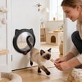 thumbnail image 3 of Large Indoor Cat Door ABS Material 4 Locking Modes Rounded Edges for Thin Doors Walls Rainproof Pet Passage Safe, 3 of 6