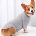 thumbnail image 4 of Mascota Otoño Invierno Cuello Alto Camisa De Fondo Slim High Elasticity Dog Stretch Slim Bottoming Shirt Perro Ropa De Abrigo Elástica Con Doble Cuello Alto Para Mascotas Serendint PT001642-10, 4 of 6