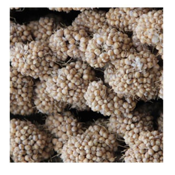 Higgins Golden Brown Spray Millet Bird Treat, 25 Lb