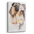 thumbnail image 2 of Epic Art 'Pug and Ghost' by Barbara Keith, Acrylic Glass Wall Art, 16"x24", 2 of 8