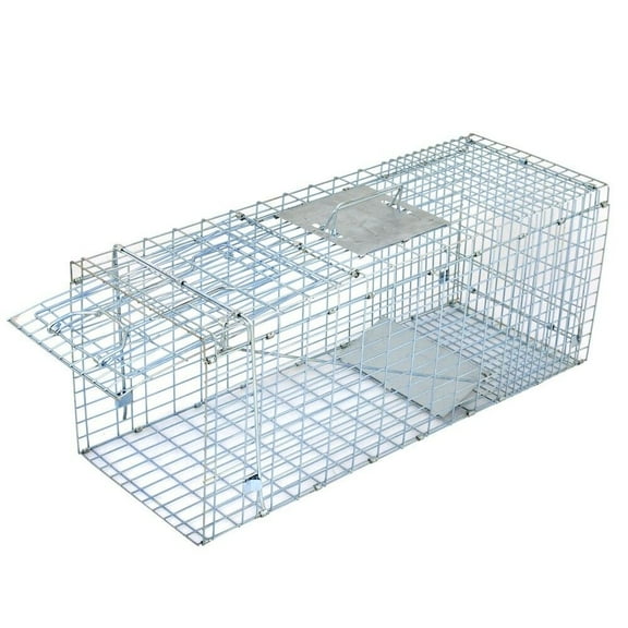 CZMDZH Animal Trap Cage,Foldable Live Catch Cage with 1-Iron Door, Humane Catch & Release Rodent Small Animal Trap for Raccoons, Stray Cats, Groundhogs, Opossums, Squirrel