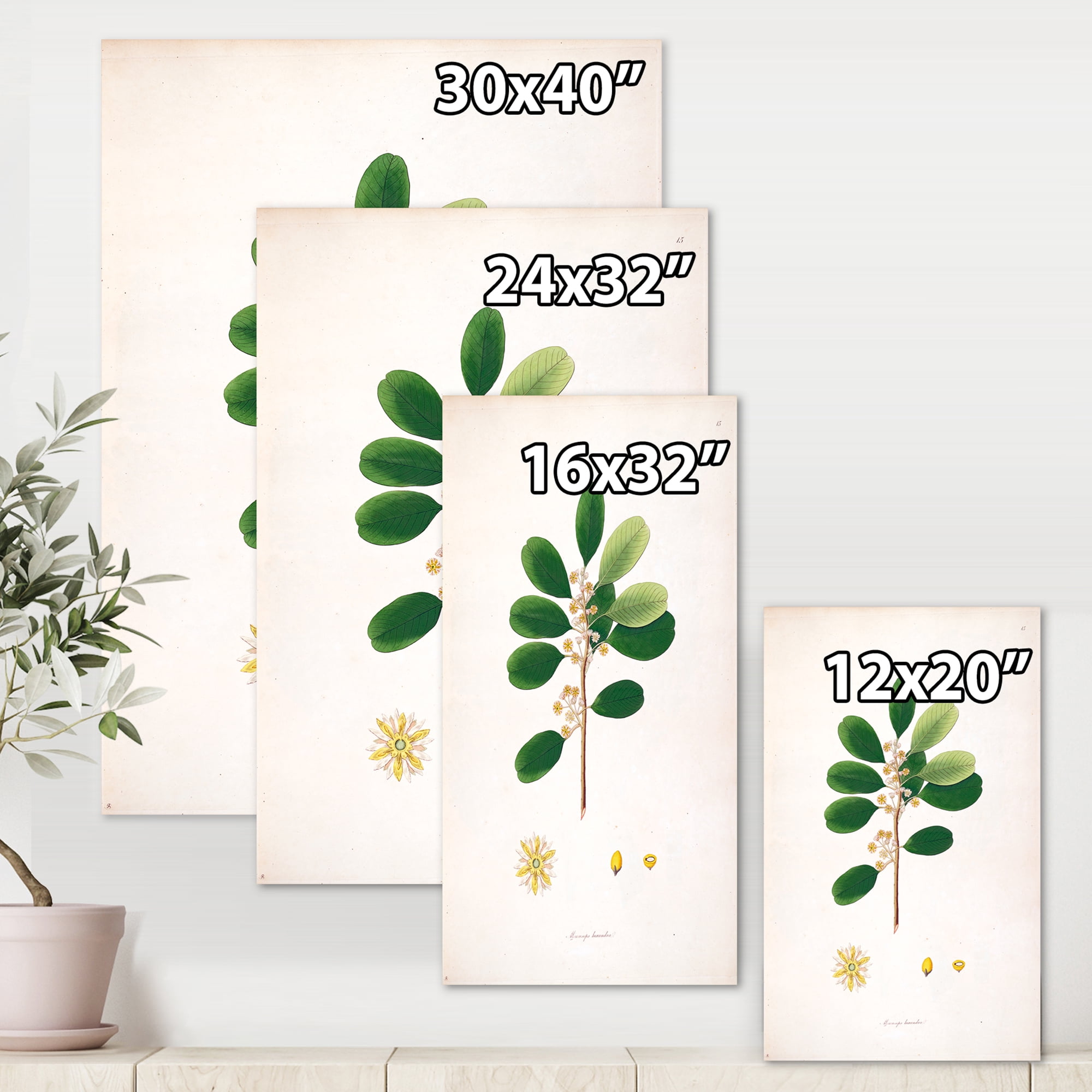 Designart ' Ancient London Plants IX ' Farmhouse Canvas Wall Art Print