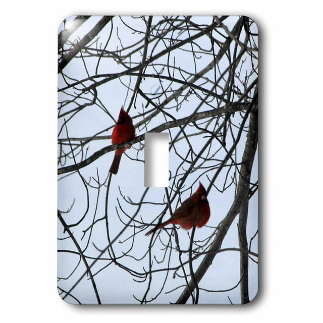 3dRose Two Cardinals - Single Toggle Switch (lsp_12355_1)