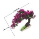thumbnail image 4 of unbranded Árbol De Acuario Con Artificiales Para Decorar De Peces, 4 of 5