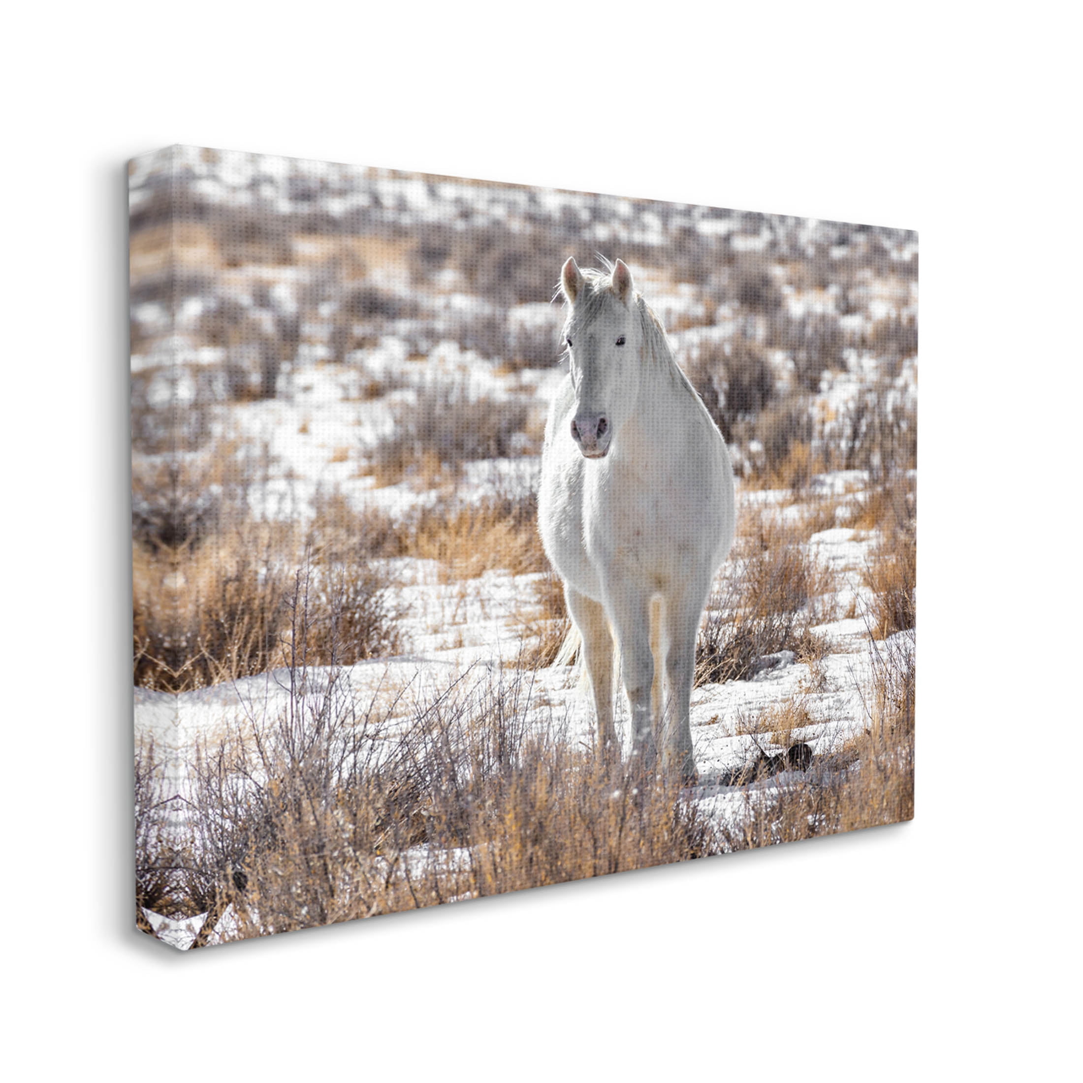 Winter Snow Horse Wildlife Animals & Insects Photograph Gallery Wrapped Canvas Print Wall Art