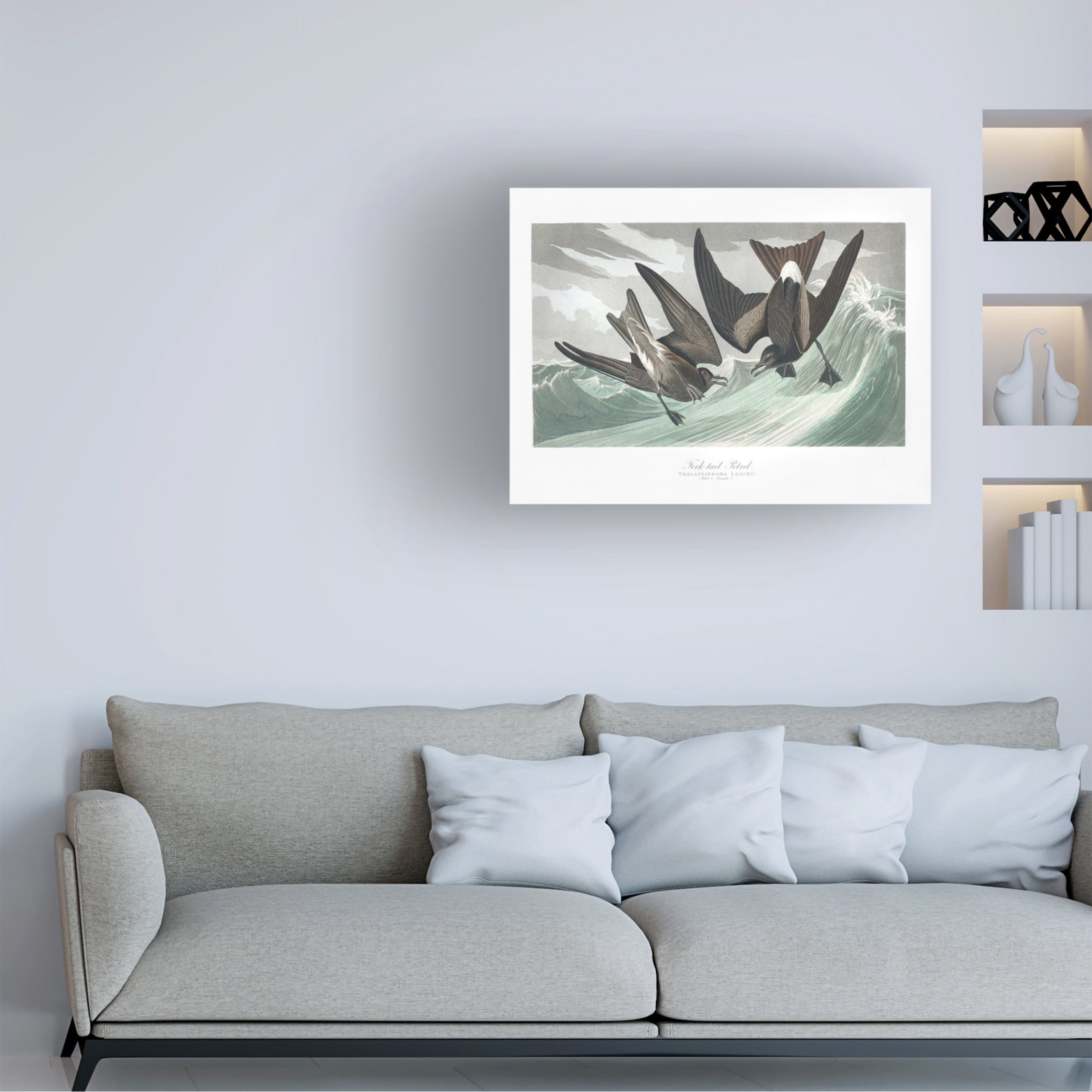 Trademark Fine Art Pictufy Fork Tailed Petrel From Birds of America 1827 Canvas Wall Art