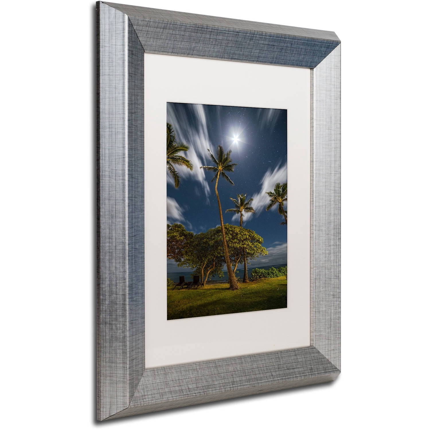 Trademark Fine Art 'Moonlit Palm Trees' Canvas Art by Pierre Leclerc, White Matte, Silver Frame