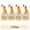 (4 pack) Nature’s Miracle Oxy Formula Set-In Stain Destroyer for Dogs, Orange Scent, 24 oz