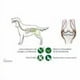 thumbnail image 3 of Vetoquinol Flexadin Advanced Original 60 Caps, Suplemento para articulaciones de perros y gatos, 3 of 6