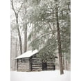 thumbnail image 2 of Deiter, Lori 12x14 White Modern Wood Framed Museum Art Print Titled - Cabin Fever, 2 of 4
