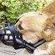 thumbnail image 3 of Keep Your Dog Safe and Secure with this Adjustable Breathable Dog Muzzle!, 3 of 4