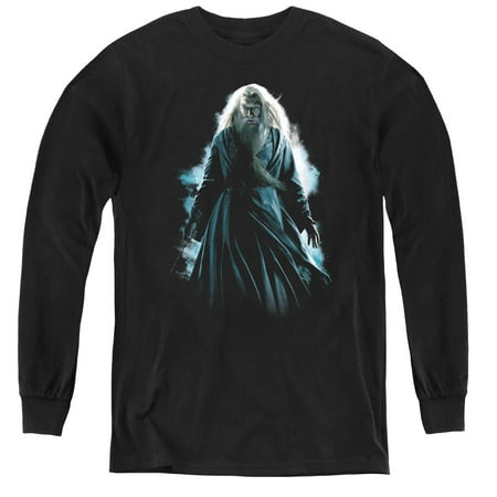 Harry Potter - Dumbledore Burst - Youth Long Sleeve Shirt -