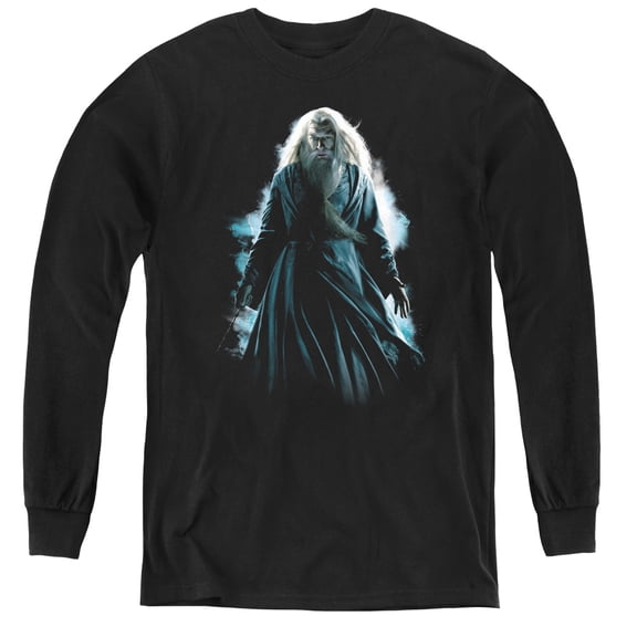 Harry Potter - Dumbledore Burst - Youth Long Sleeve Shirt - Small