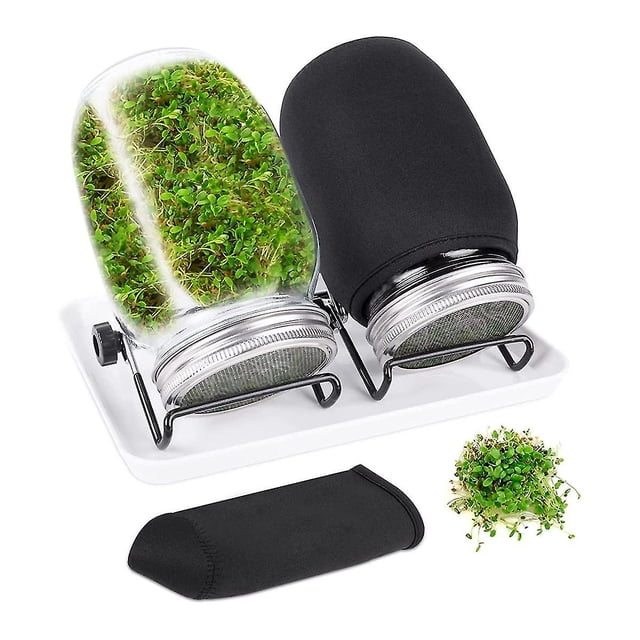 Kit DE frasco para germinación DE semillas JINMJMXG con 2 frascos DE boca ancha