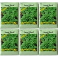 6 Pack Valley Greene Vegetable Seeds 350 mg/Package Buttercrunch
