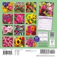 thumbnail image 2 of Carousel Calendars, Flowers 2027 Mini Wall Calendar, 2 of 5