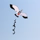 thumbnail image 5 of KITE para niños y adultos Increíbles s de gaviota para juegos y actividades libre sola línea con herramientas voladoras Cola Cometa gaviota, 5 of 8