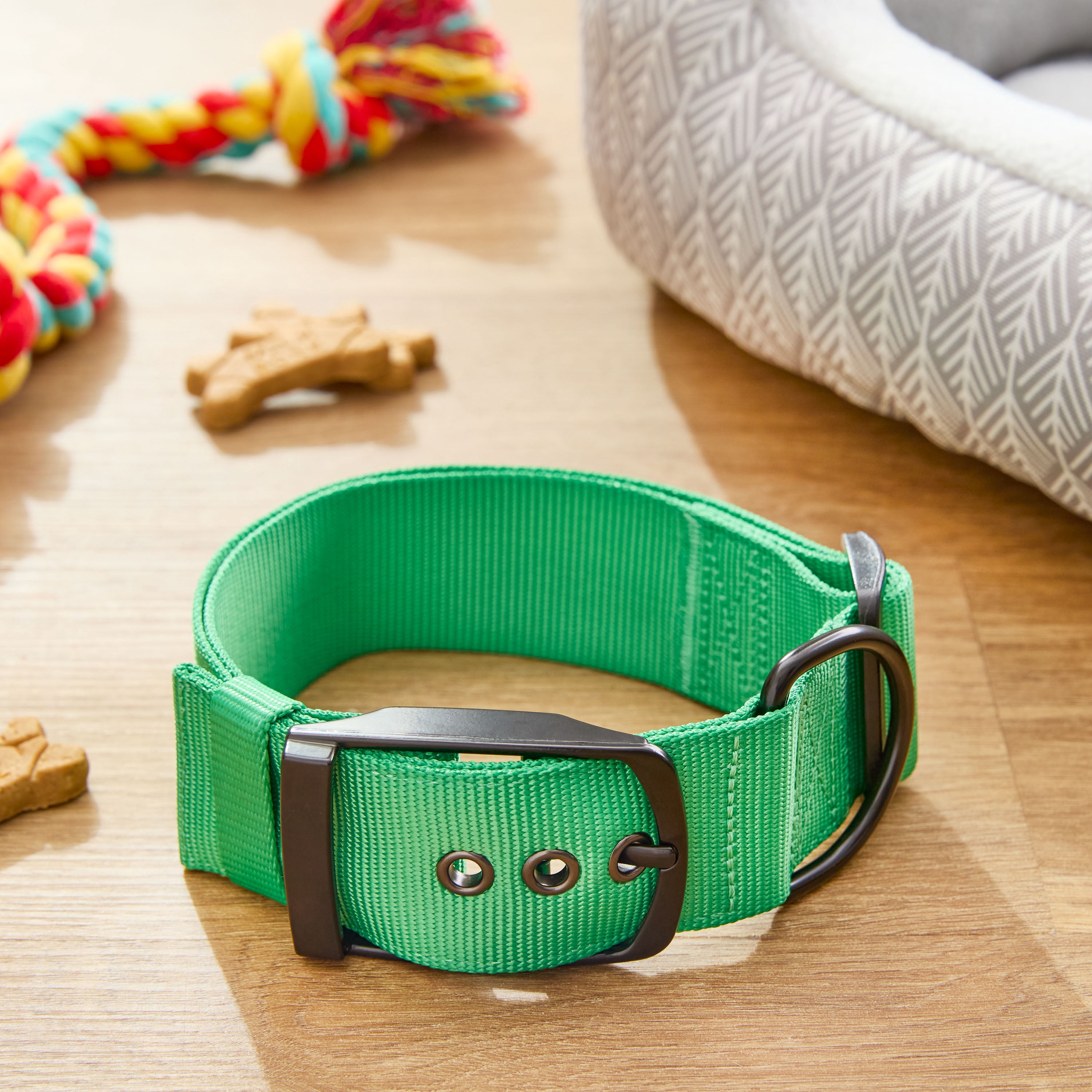 Vibrant Life Polyester Adjustable Dog Collar with Metal Buckle, Green, XL
