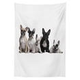 thumbnail image 3 of Ambesonne Bulldog Tablecloth Rectangular Table Cover, Young Doggies Photo, 60"x90", Black White Beige, 3 of 4