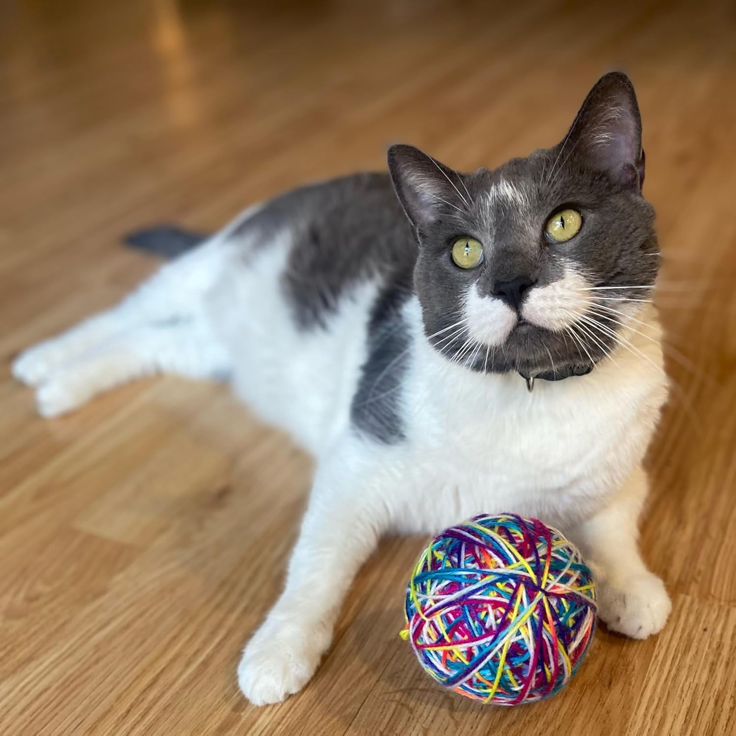 SPOT Sew Much Fun Foam & Yarn Ball Cat Toy with Rattle, No-Unravel Design, 3.5 inch, 1 Count
