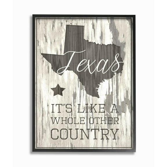 Stupell Texas, A Whole Other Country Framed Giclee Texture Art 16 x 20