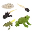 thumbnail image 1 of Kids Toddlers Animals Growth Cycle Toy Set Learning Gifts Frog, 1 of 8