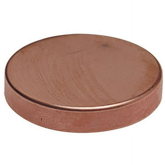Nibco Test Cap,Wrot Copper,2" Tube,C 917-B