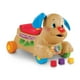 thumbnail image 1 of Perrito Camina Conmigo Fisher-Price Mattel Café, 1 of 4