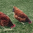 thumbnail image 3 of YARDGARD 72 inch by 150 foot 20 Gauge 2 inch Mesh Poultry Netting, 3 of 3