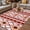 Red, variant on Red Orange Southwest Outdoor Rug for Patio/Deck/Porch, Non-Slip Large Area Rug 3 x 5 Ft, Aztec Boho Ethnic Geometric Art Indoor Outdoor Rugs Washable Area Rugs, Reversible Camping Rug Carpet Runner