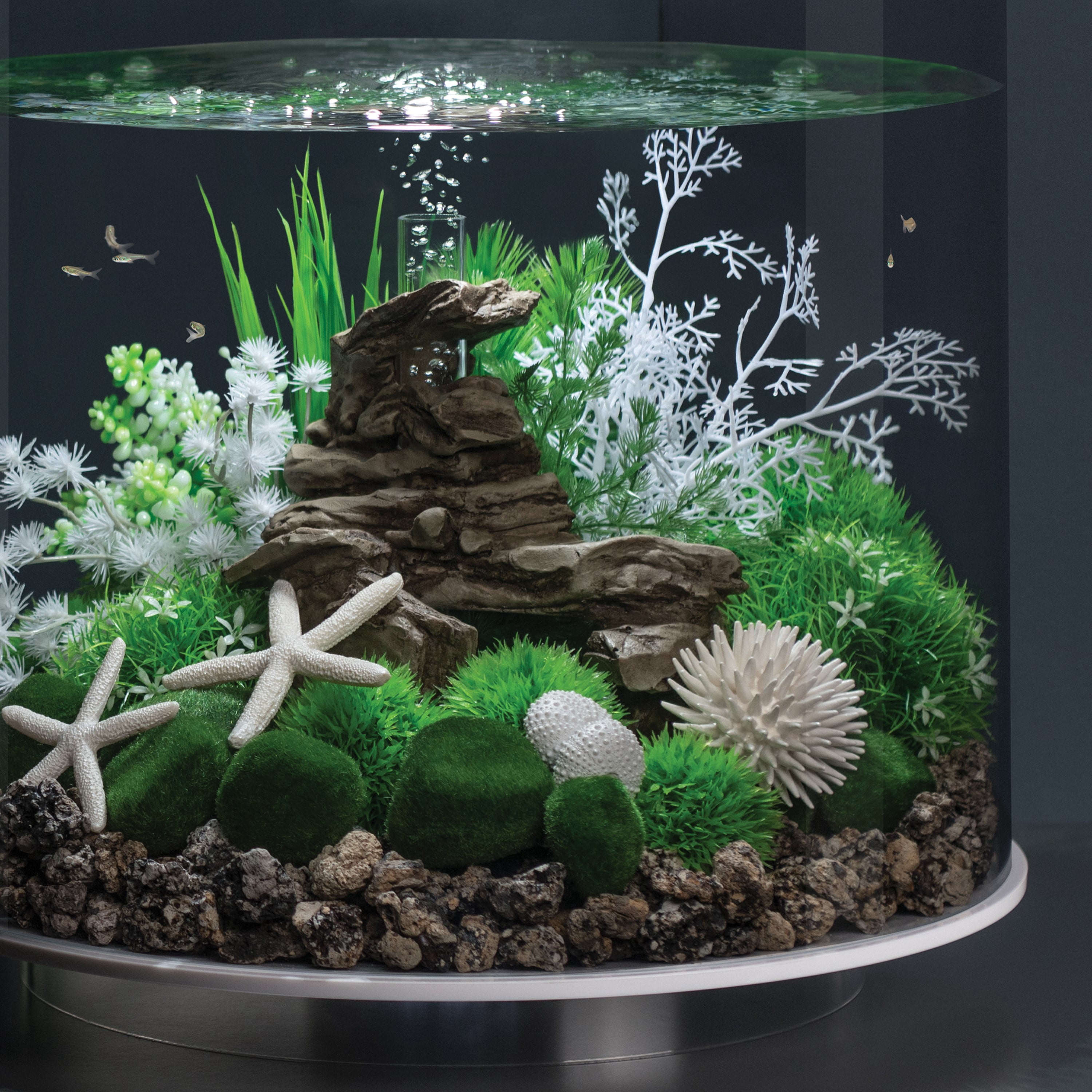 biOrb White Sea Urchins Set - Ceramic Aquarium Decor