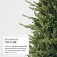 thumbnail image 3 of Fraser Slim Fir 7.5ft Christmas Tree Pre-Lit Artificial with 3,429 Branch Tips & 792 Low-Voltage Warm LED Lights, Foldable Stand & Realistic Flame-Resistant Branches, 3 of 13