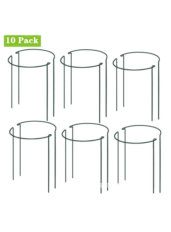 Plant Supports in Garden Center