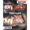 thumbnail image 4 of REFILL PACKETS - Protektin42 - Prebiotic Dental Powder for Dogs, Daily Dental Care, Clinically-Proven Formula Naturally Freshens Breath and Supports Dental Health, 90 Servings, 4 of 6