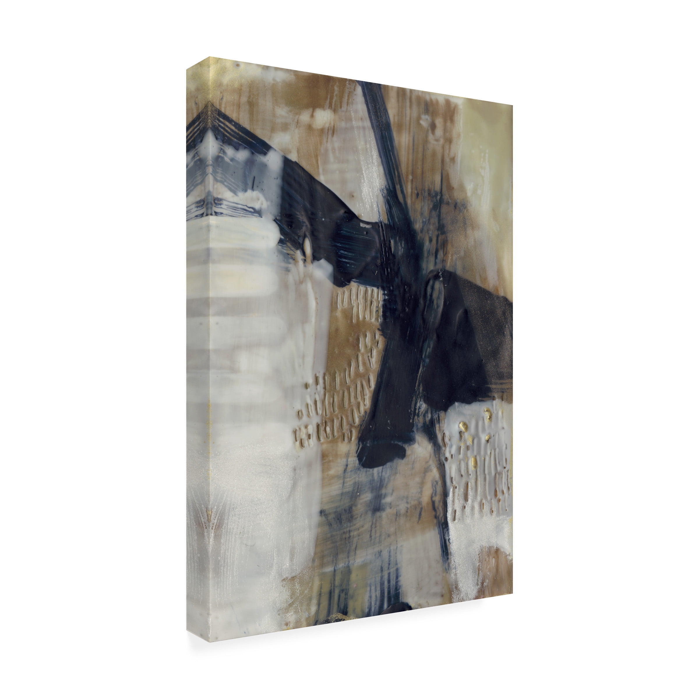Sue Jachimiec 'Gage I' Canvas Art