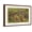 Brown Frame, variant on Art.com View over Ohio State University, Columbus, Ohio Art Print, 18" x 12"