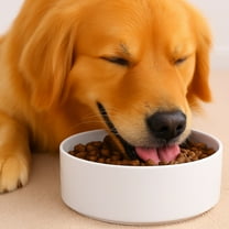 Ceramic Dog Bowl for Large Breeds –60oz - 8.2″ Wide, Non-Slip Food and Water Bowl, Heavyweight, Dishwasher Safe, White- Vallary