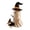 C, variant on Halloween Ghost Witch With Puppy Figurine, Cute Resin Ghost Walking Dog Statue, Fall Tabletop Decoration for Mantel, Shelf, Entryway and Party Decor