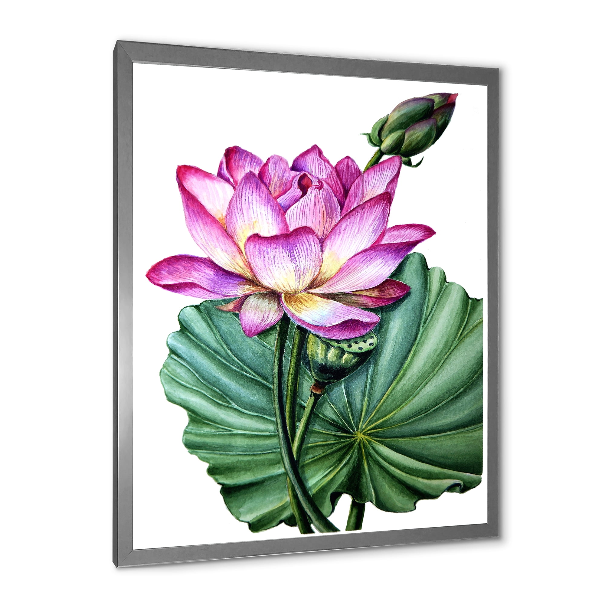 Designart 'Ancient Pink Lotuses In The Pond VI' Traditional Framed Art Print