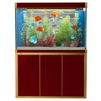 135 Gallon Tempered Glass Aluminum Frame Aquarium Fish Tank Red with Gold Trim