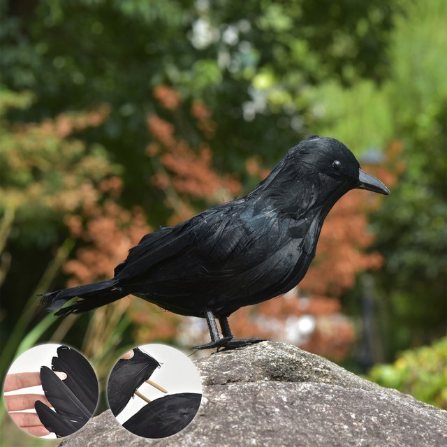 Fiudx Ofertas y liquidaciones Cuervo realista con plumas negras para decoraciones de Halloween