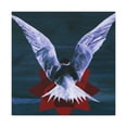 thumbnail image 1 of Terns In Technicolor - Canvas, 1 of 10