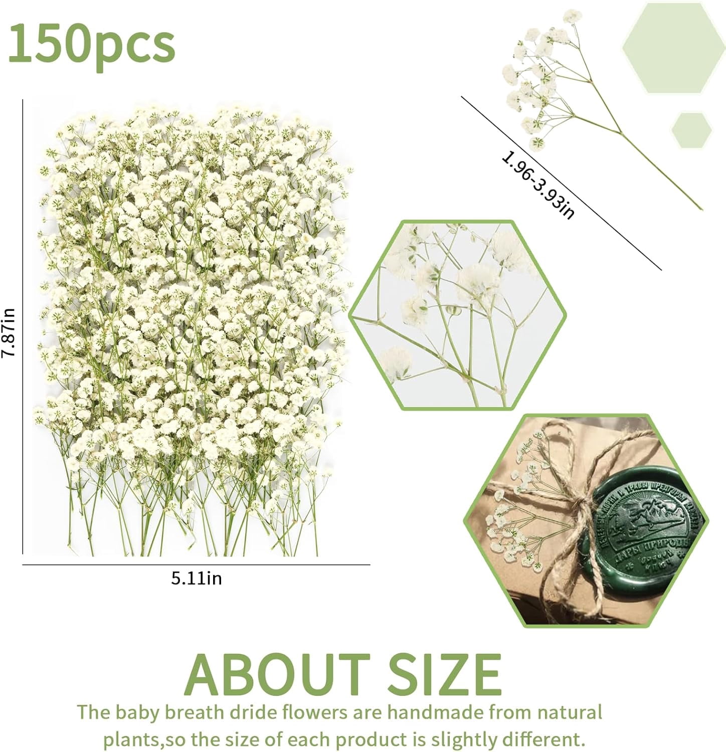 Mini Dried Pressed White Flowers Bulk - Real Natural Flat Flowers for Epoxy Craft, Scrapbooking, Wedding Invitations, Home Decor, DIY Gifts