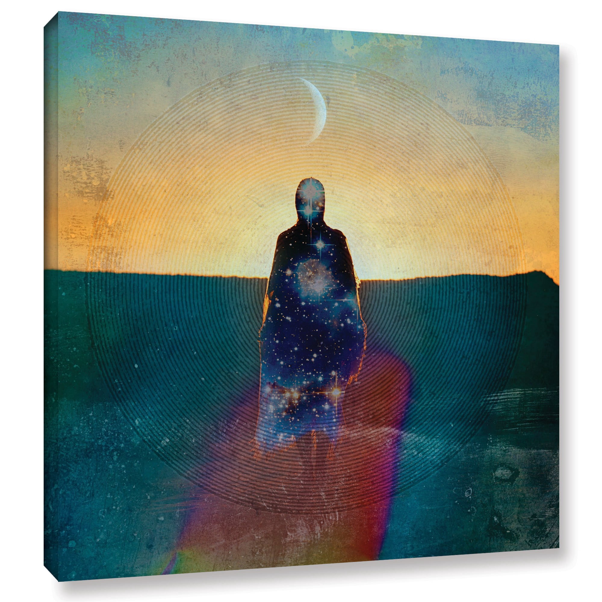 ArtWall Elena Ray "Celestial Soul" Gallery-wrapped Canvas