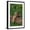 Black Frame, variant on Art.com Bengal Tiger Cub Sleeping on Fallen Tree Photographic Print by DLILLC, 12" x 18"
