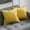 Light Yellow, variant on Cterwk 2 Pack Soft Velvet Square Throw Pillow Covers Square Cushion Case for Bed Couch Sofa Bench, 16 x 16 inch