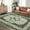 green, variant on Floral Area Rug, Washable Non-Slip Low-Pile Rug for Living Room and Kitchen