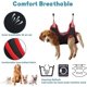 thumbnail image 3 of Juego de 10 piezas de arnés de hamaca para el cuidado de perros con cortaúñas, lima de uñas, peine, hamaca de sujeción para perros transpirable, ayudante de cabestrillo para el cuidado de perros, 3 of 4