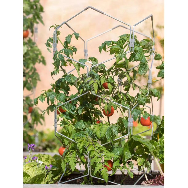 Gardenerfts Vertex Lifetime Tomato Cage